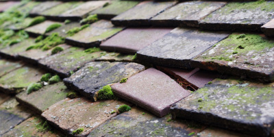 Pontbren Araeth roof repair costs